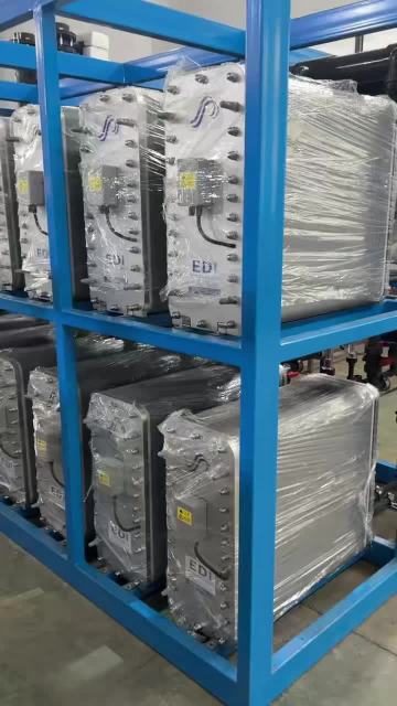 Automatic EDI Pure Water Equipment