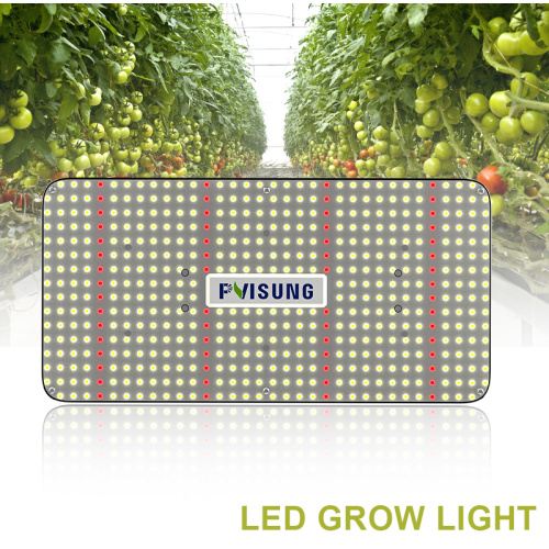 Luces de cultivo LED de tablero cuántico: selecciones superiores para 2024