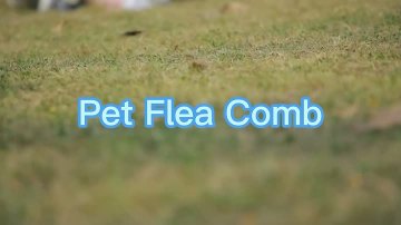 Dog and cat flea lice comb