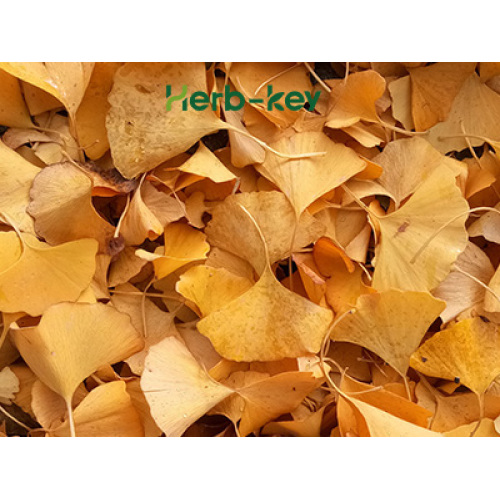 Was sind Ginkgo -Flavonoide und was sind sie?