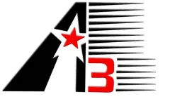 A3