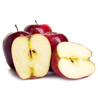 Fruit & Melon Co., Ltd.