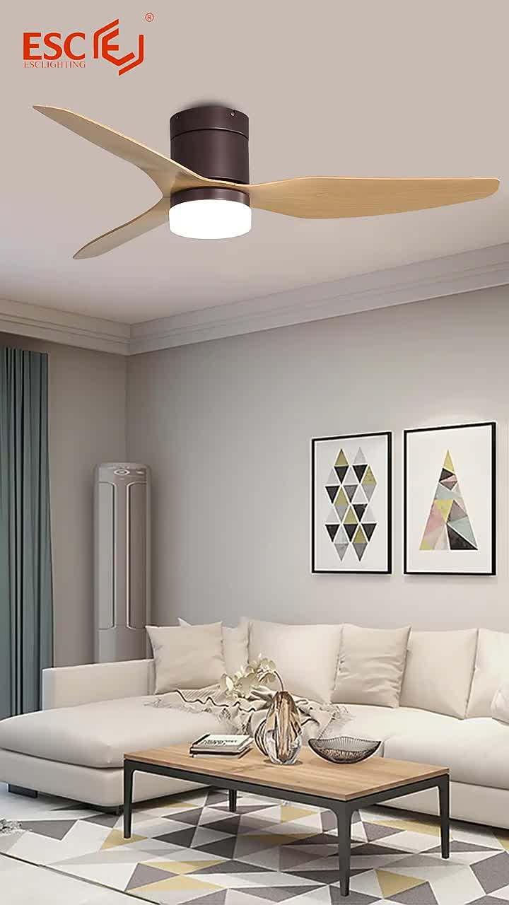 Fans ABS Plafond moderne