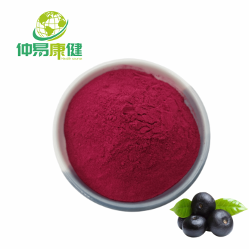 Top 10 China Natural plant pigment Manufacturers