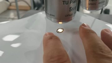 High temperature water based paint