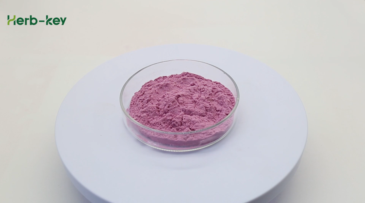 Pitaya Powder