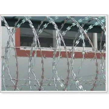 China Top 10 Security Razor Barbed Wire Mesh Potential Enterprises
