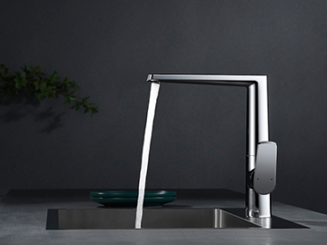 This kitchen faucet really blew my mind, the desig