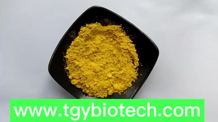 Green Tea Extract Tea Polyphenols