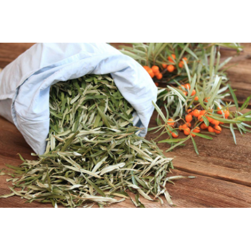 A função e a aplicação de folhas de espinheiro Seabuckthorn como comida comum