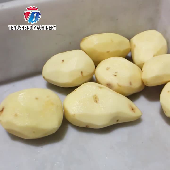 TS-Q102 Comercial Cenoura Julienne Máquina Multifuncional Cortador de Cenoura