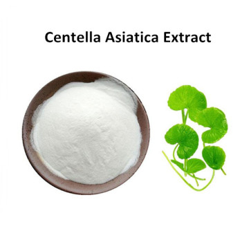 Centella Asiatica Extract For Treating Damp Heat Jaundice, Heatstroke Diarrhea And Falling Attack Injury
