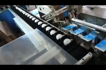 Cartoning Machine For LED Light