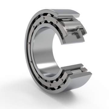 Rolling Bearings 1