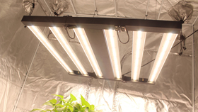 6Bar Grow Light