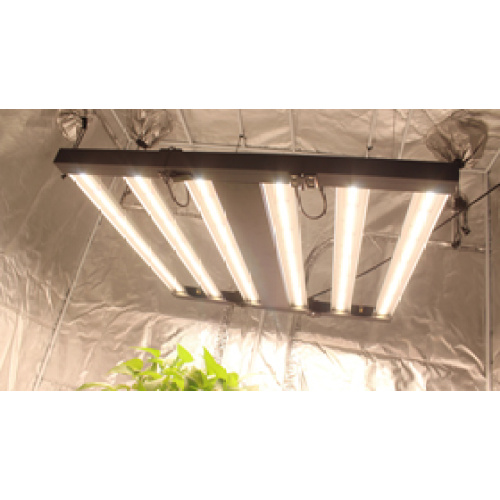 6bar grow light