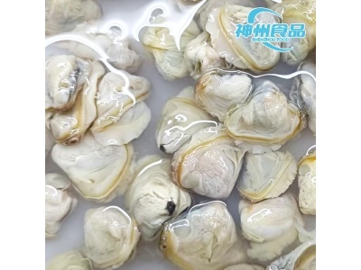 Huai'an Shenzhou Food Technology steigert das Angebot an tiefgefrorenem Muschelfleisch für Meeresfrüchte-Käufer weltweit
