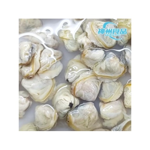 Huai'an Shenzhou Food Technology steigert das Angebot an tiefgefrorenem Muschelfleisch für Meeresfrüchte-Käufer weltweit
