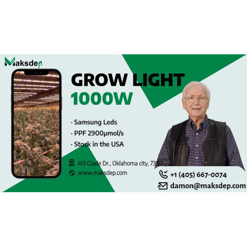 6x4ft 1000w grow light  in USA