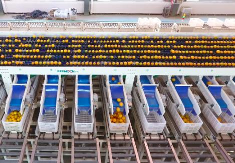 Yunnan YueTu Algriculture Development Limited Company