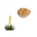 Xi`an ifjúság EU Organic Yucca schidigera növény gyökér extraktum11