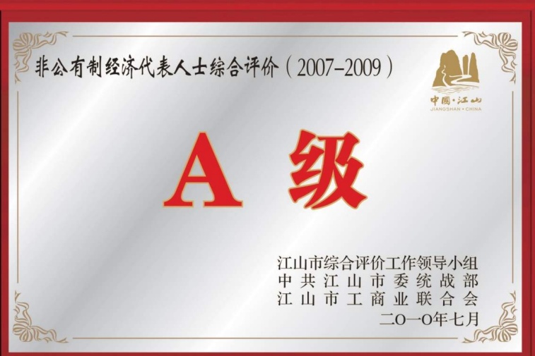 Comprehensive evaluation of representatives of non-public economy (2007-2009)