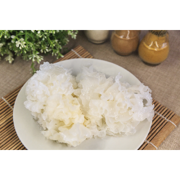What are the tremella mesenterica​ benefits？