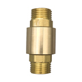 1/2"-1" Brass Male Thread Spring Vertical Check Valve1