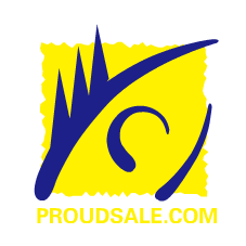 Nanjing Proudsale electronic technology co., LTD