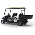 EG Wholesale Luxury China 4 Seater Electric Golf Cart with Box1