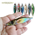 Saltwater Fishing Lures - MISTER JIGGING 3D Printed Metal Jig Baits (21g-80g)1