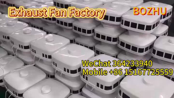 vidéo_1789869056