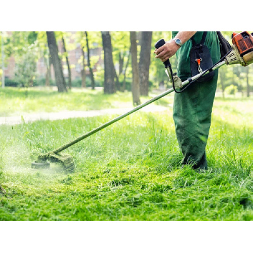 La industria mundial de cortadoras de césped está en auge impulsada por la electrificación, la inteligencia y la demanda de paisajismo sostenible