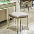 Modern Luxury Dining Chair with Premium Backrest for Living Room and Dining Room (Stainless Steel)1