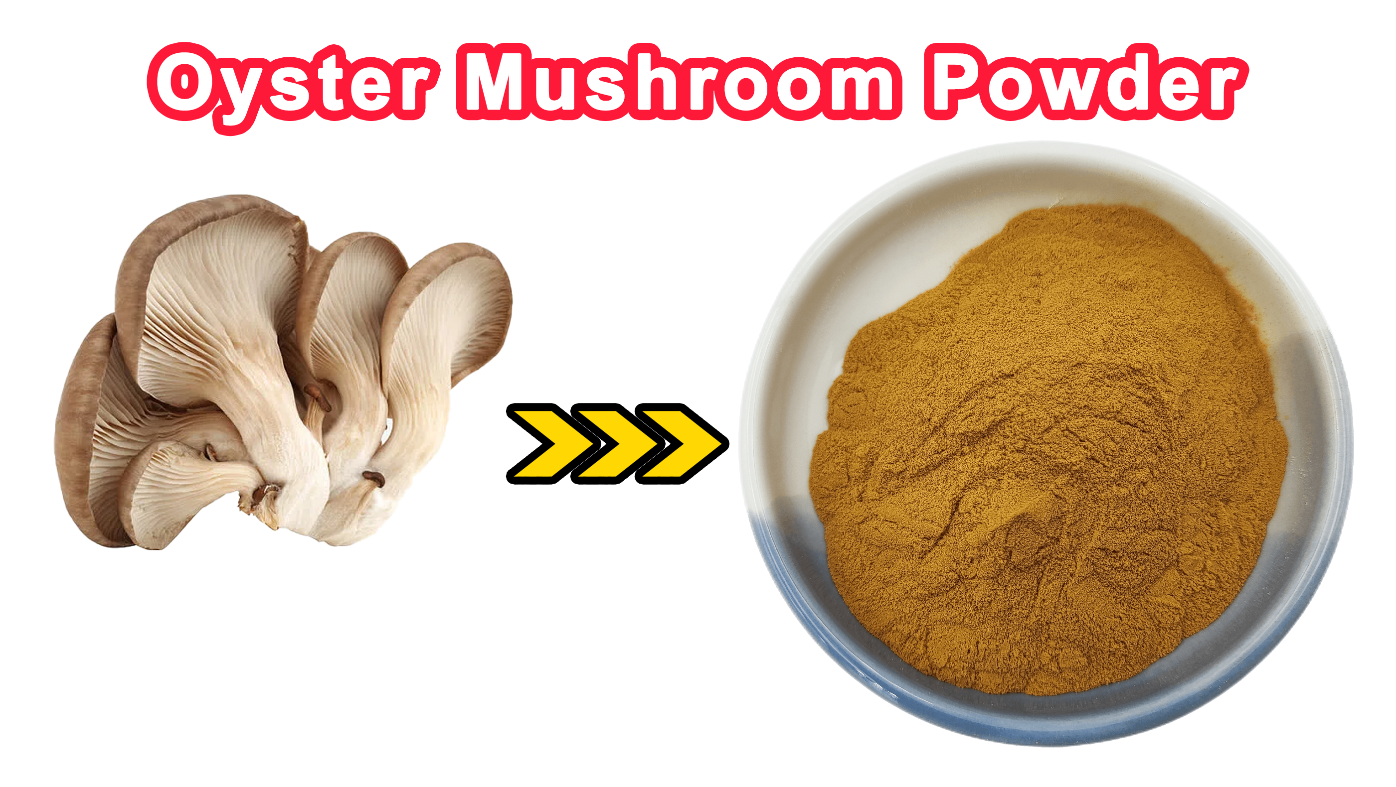 Oyster Mushroom Extract