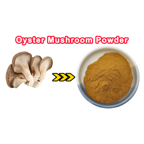 Oyster Mushroom Extract