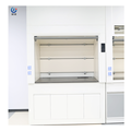 Chemical Lab Fume Hood Cabinet with Sink1