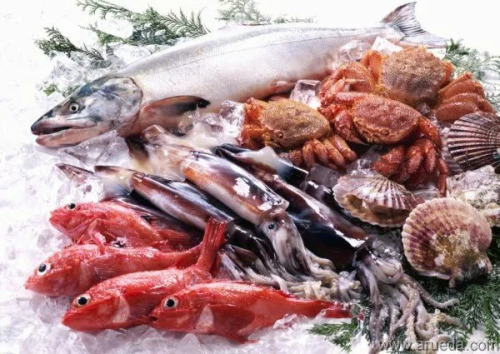 El creciente comercio de productos del mar aumenta la demanda de envases avanzados para la cadena de frío