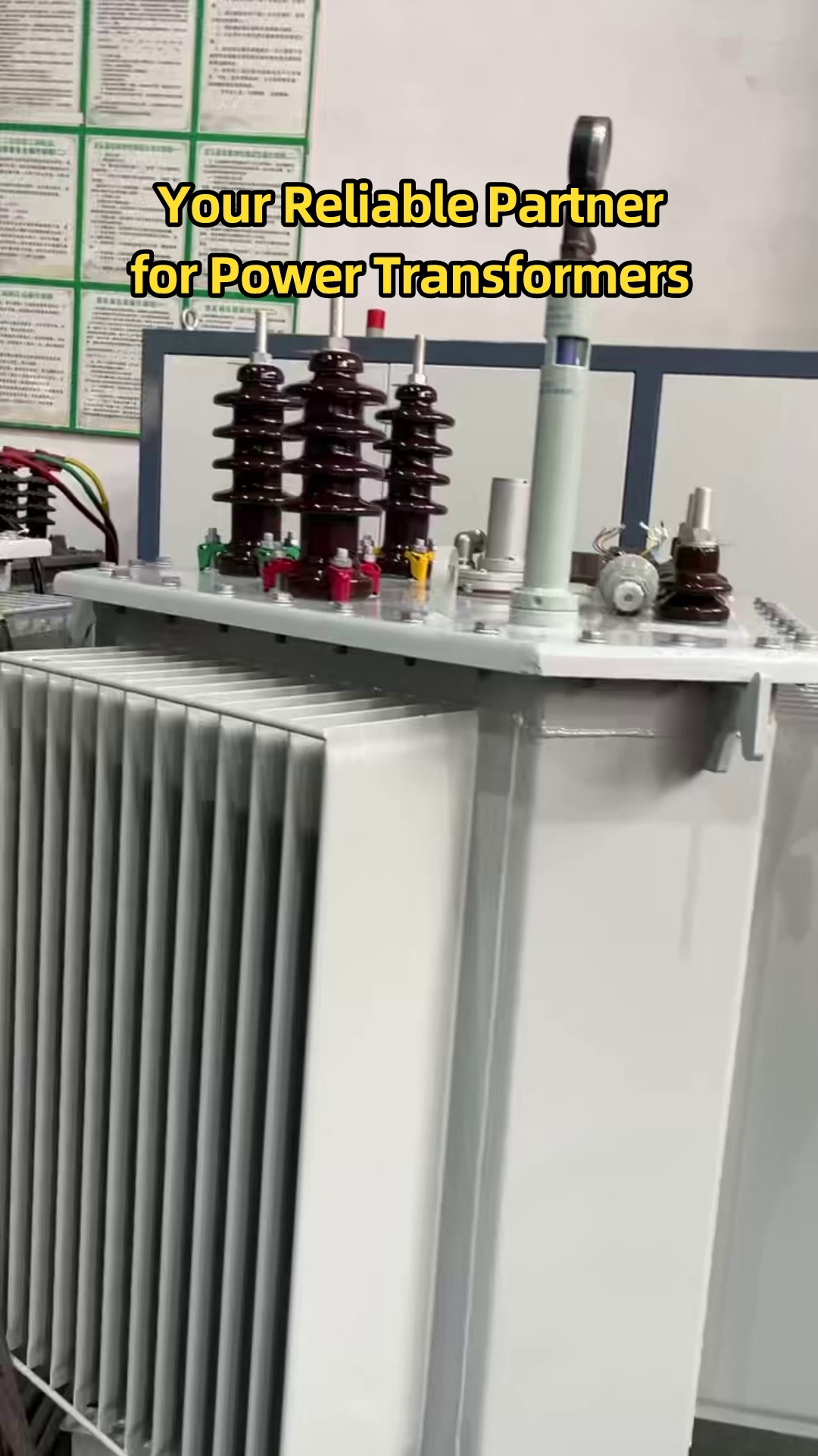 Conseils techniques couvrant l'installation des tuyaux, la disposition des colliers de serrage et les flux de travail d'inspection périodique