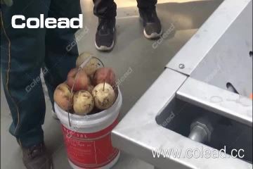 Fruit washing Line