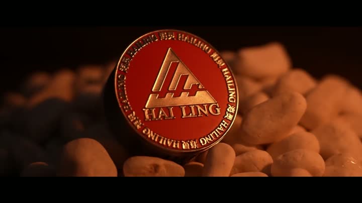 Быстрый взгляд на HALIGE COMPANY и Основные моменты продукта