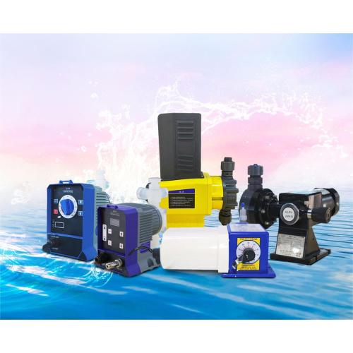 Diaphragm metering pump works