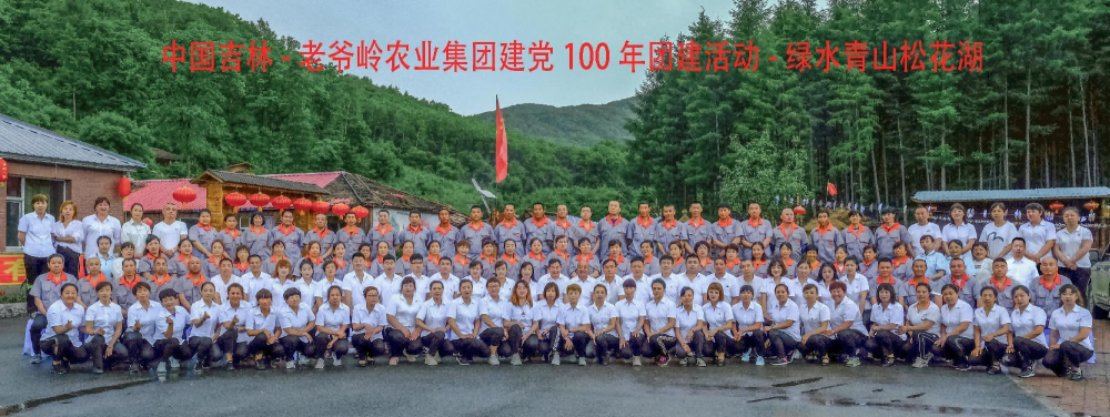 活动5