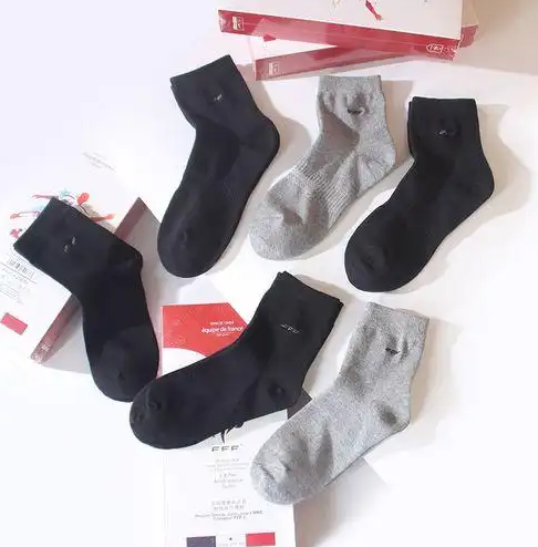 Hosiery Park R & D 및 기술 혁신