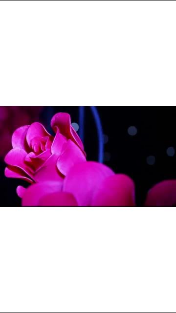 fa6d5abbcd78371dddc69eb4804a5a11