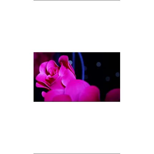 fa6d5abbcd78371dddc69eb4804a5a11