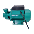 0.5 HP Small QB60 Water Pump for Efficient Liquid Transfer1