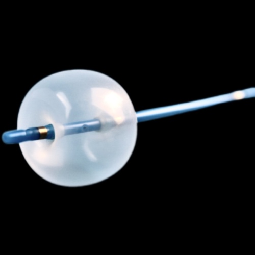 Stone Extraction Balloon-Jiangsu Changmei Medtech