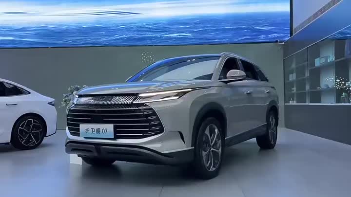 Fragata SUV Byd de 5 lugares 07