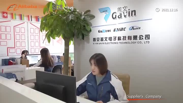 Gavin Company